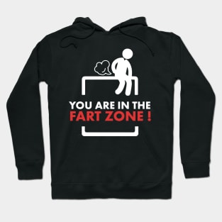 You are in the fart zone ! Hoodie